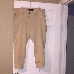 Torrid Yellow Jeggings